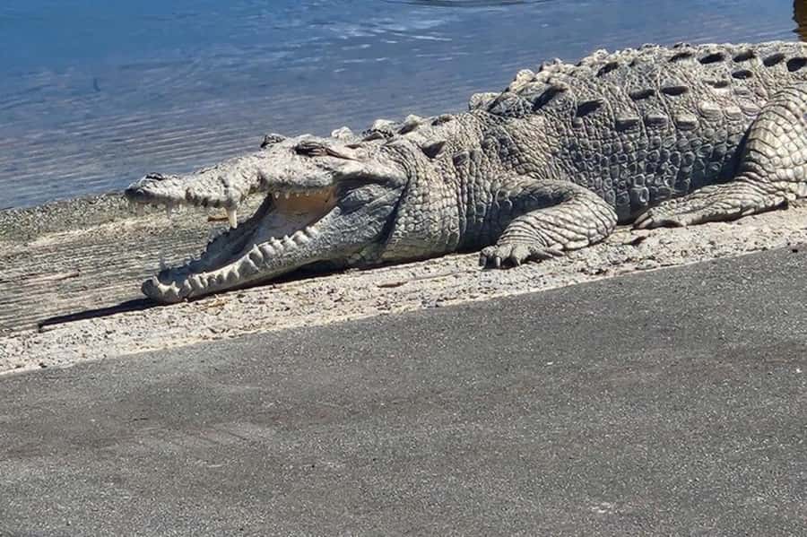 Miami: Everglades National Park Hiking and Kayaking Day Trip - How the 9-hour land-and-water flow really works
