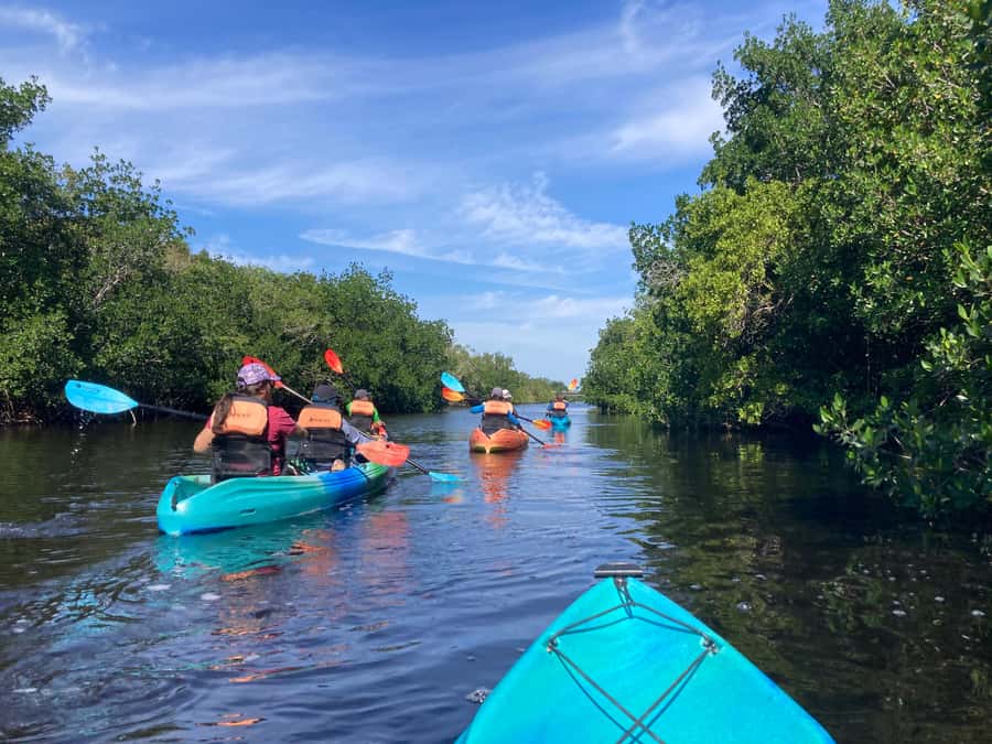 Miami: Everglades National Park Hiking and Kayaking Day Trip - The 2-hour kayak: paddling through wildlife territory