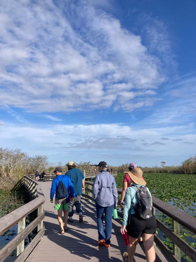 Miami: Everglades National Park Hiking and Kayaking Day Trip - Should you book this Everglades hiking and kayaking day trip?