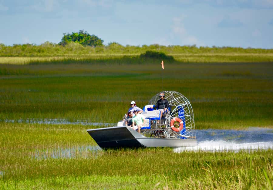 Miami: Everglades River of Grass Small Airboat Wildlife Tour - The 2-Hour Cruise: How the Captain Finds Wildlife Without Making It Chaotic