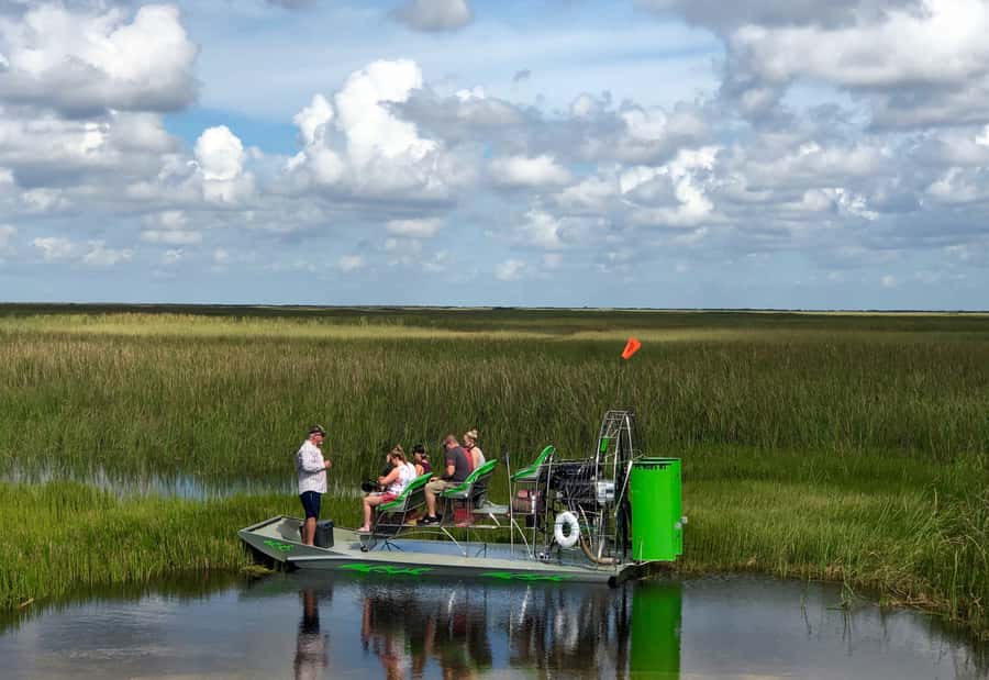 Miami: Everglades River of Grass Small Airboat Wildlife Tour - Hearing the Everglades Story in the Right Order