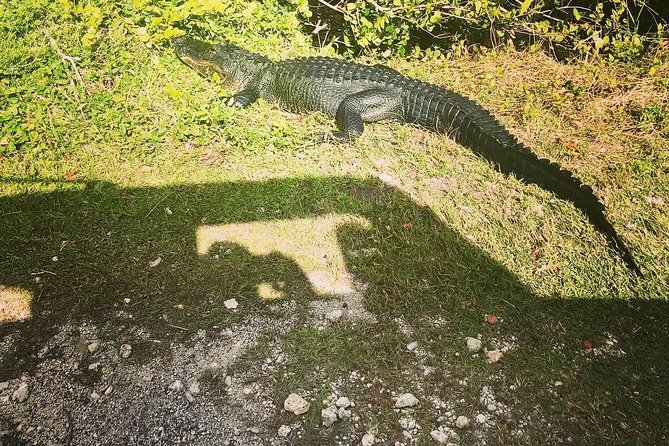 Miami & Florida Everglades Adventure Package - Coconut Grove and Biscayne Bay: the city’s water lesson