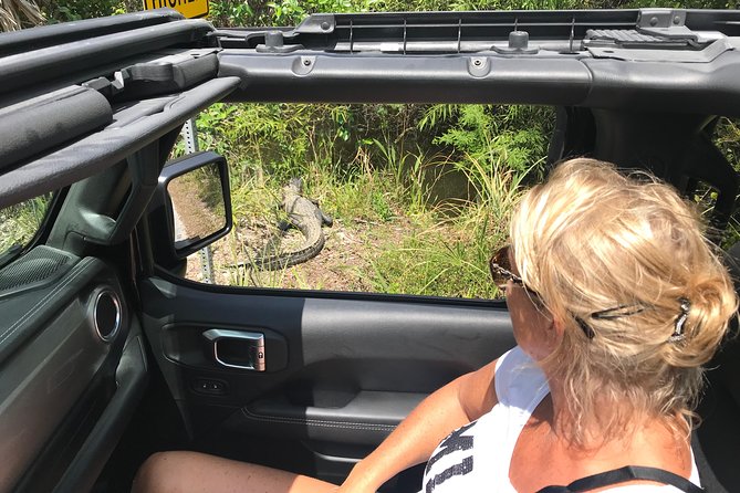 Miami & Florida Everglades Adventure Package - Price and value: is $60 really a good deal?