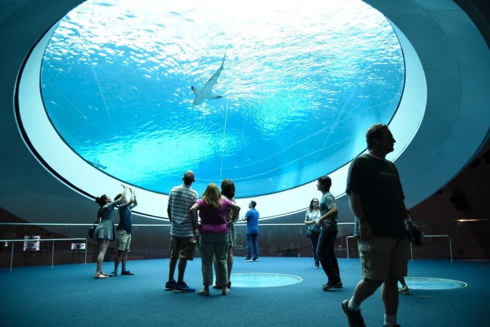 Miami: Frost Museum of Science and Planetarium Entry Ticket - Exhibits that keep kids moving and adults learning