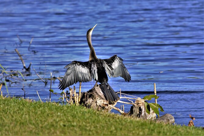 Miami Full Day Self-Guided Sightseeing Tour w/ Cruise and Everglades Airboat - Value Math: Why $34 Can Be a Great Deal (or a Frustrating One)
