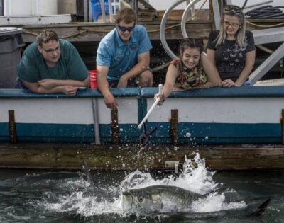 Miami: Giant Fish Feeding Experience - The floating dock setup: how they keep it safe (and easy) for families