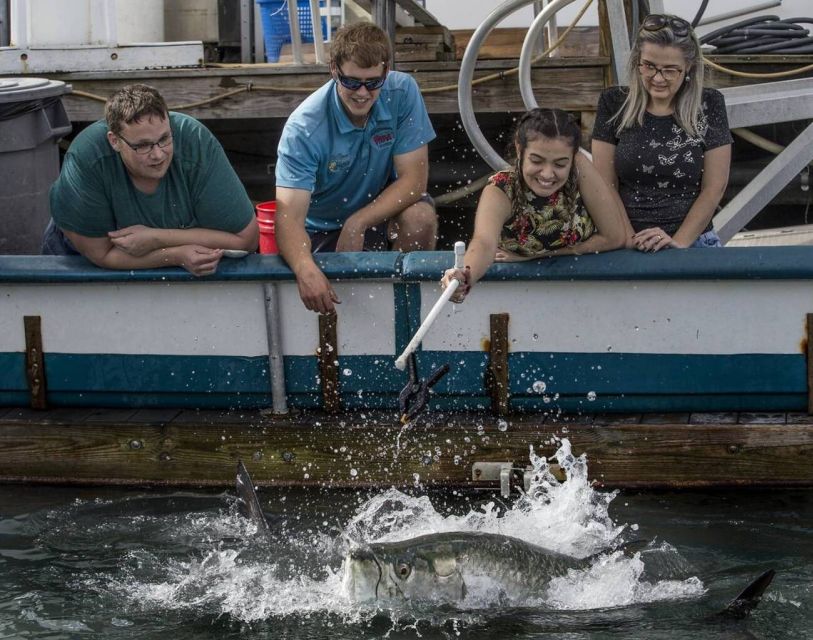 Miami: Giant Fish Feeding Experience - The floating dock setup: how they keep it safe (and easy) for families
