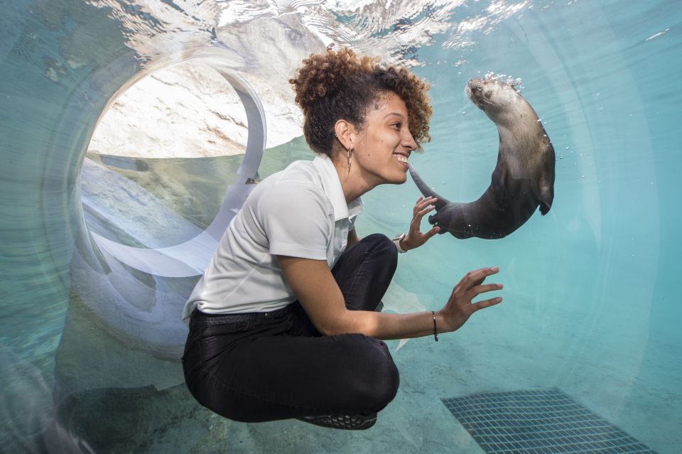 Miami: Go City Explorer Pass - Choose 2 to 5 Attractions - Price and value: When $79 really pays off