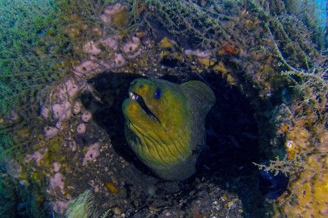 Miami Guided 2-Tank Scuba Diving: South Florida’s Reefs & Wrecks - Weather Reality: Good Conditions, Adjustments, and a Refund Backup