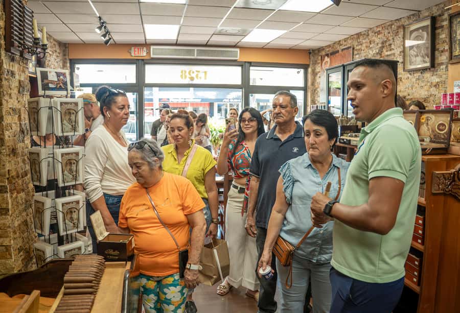 Miami: highlights Walking & Sightseeing tour - Who this Miami highlights tour suits best