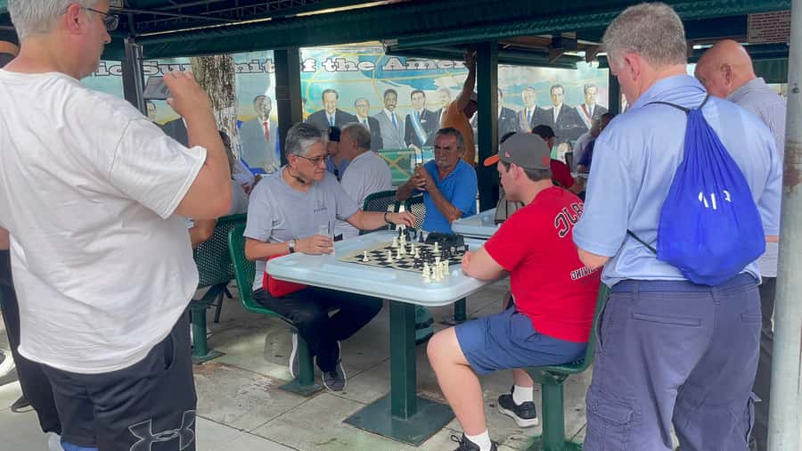 Miami: highlights Walking & Sightseeing tour - Comfort, shoes, and small rules that affect your day
