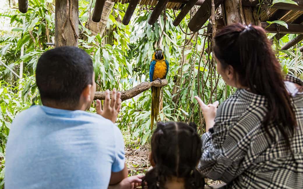 Miami: Jungle Island General Admission - Manu Aviary and animal viewing: what you’ll enjoy and what to question