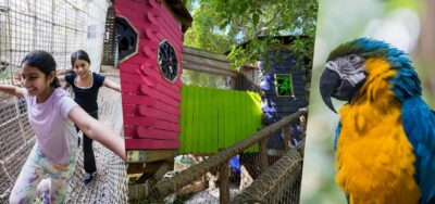 Miami: Jungle Island General Admission - Entering Treewalk Village: the treetop playground that drives the day