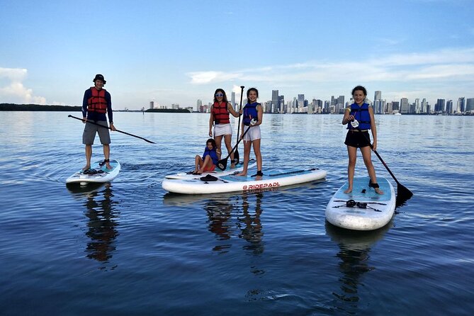 Miami Kayak and Paddleboard Rentals in Virginia Key - Key highlights you’ll feel right away