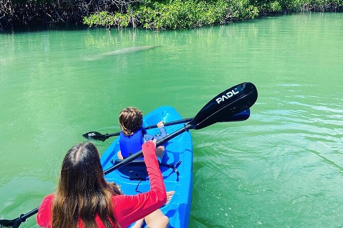 Miami Kayak and Paddleboard Rentals in Virginia Key - Check-in at 3801 Arthur Lamb Jr Rd: quick setup, then water