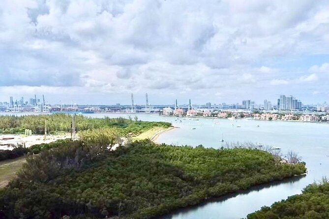 Miami Kayak and Paddleboard Rentals in Virginia Key - The on-water hour: calm water, easy confidence, and wildlife payoff