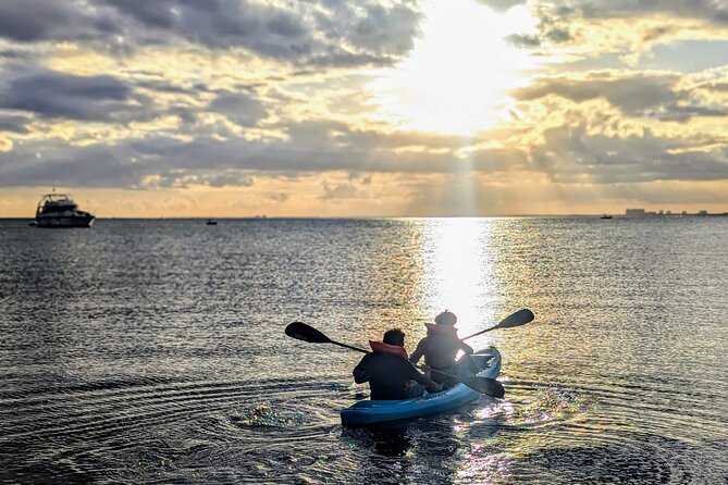 Miami Kayak and Paddleboard Rentals on Biscayne Bay - Staff support that actually helps: Philippe, Jose, Ryan, and Natalia