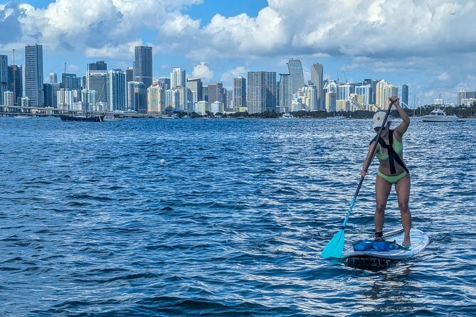 Miami Kayak and Paddleboard Rentals on Biscayne Bay - Where you go and what you might see (realistic wildlife expectations)