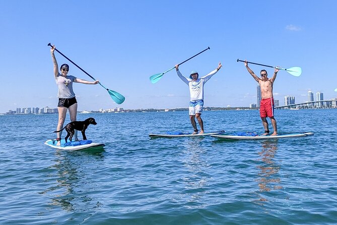 Miami Kayak and Paddleboard Rentals on Biscayne Bay - Value for $25: why this rental is a strong deal for the hour you get