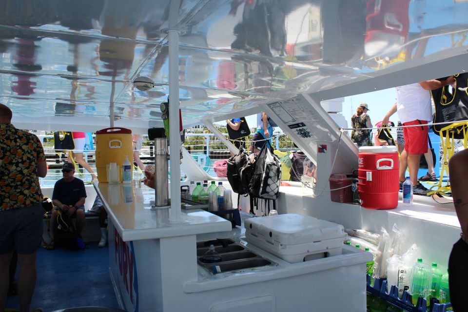 Miami: Key West Boat Tour w/ Optional Snorkeling & Open Bar - Wildlife spotting: How to make the most of your snorkel time