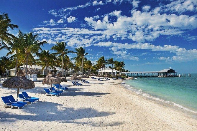 MIAMI: Key West Day Trip with Snorkel or Glassbottom Boat - Snorkeling gear, open-bar timing, and what to expect on the water