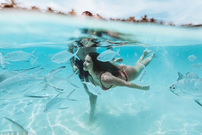 MIAMI: Key West Day Trip with Snorkel or Glassbottom Boat - Price and value: is $144 per person a fair deal