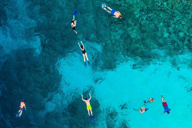 MIAMI: Key West Dolphin Watch Tour - Price and Value at $89.25: What You’re Paying For