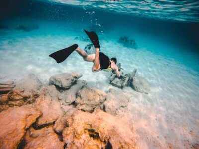 Miami: Key West with Catamaran Tour, Drinks, and Free Time - Two Boat Experiences: Reef Snorkeling vs. Dolphin Spotting