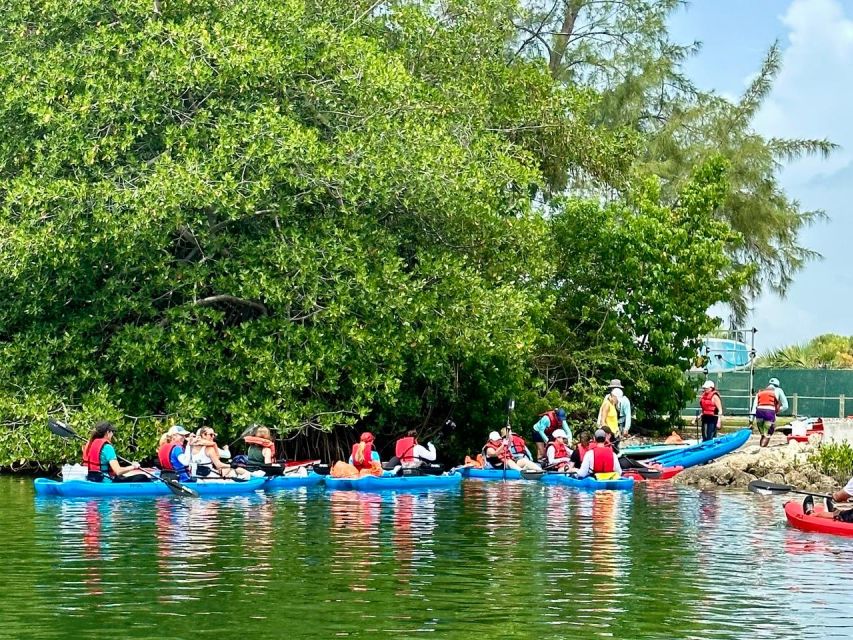 Miami: Manatee Season Paddleboard or Kayak Tour - Virginia Key Launch: how this 2-hour paddle stays simple