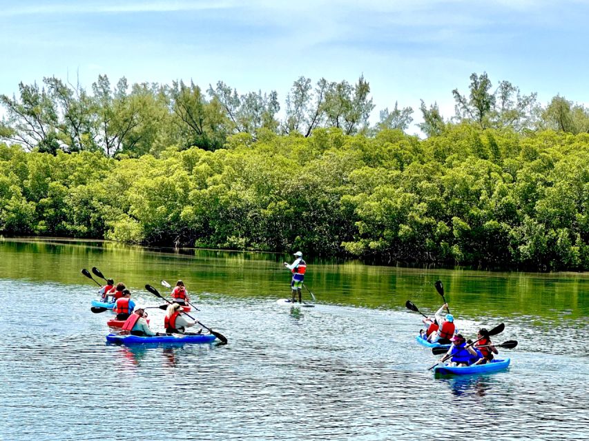 Miami: Manatee Season Paddleboard or Kayak Tour - What makes this experience feel “worth it” in Miami