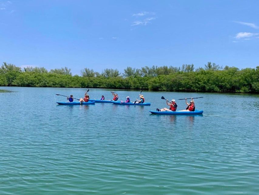 Miami: Manatee Season Paddleboard or Kayak Tour - Manatee Season in Biscayne Bay (Nov–Apr): why winter changes everything