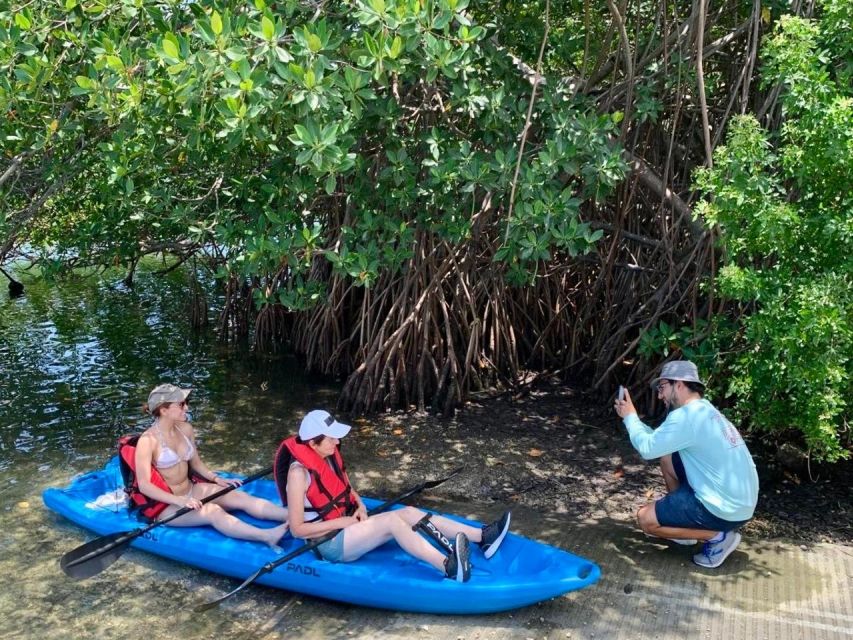 Miami: Manatee Season Paddleboard or Kayak Tour - Spotting odds: what you’re likely to see during the 2 hours