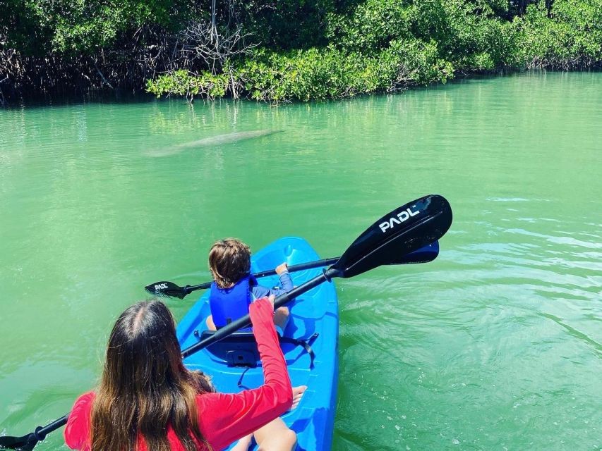 Miami: Manatee Season Paddleboard or Kayak Tour - Your guide on the water: how names like Parker and Frank show up in the experience