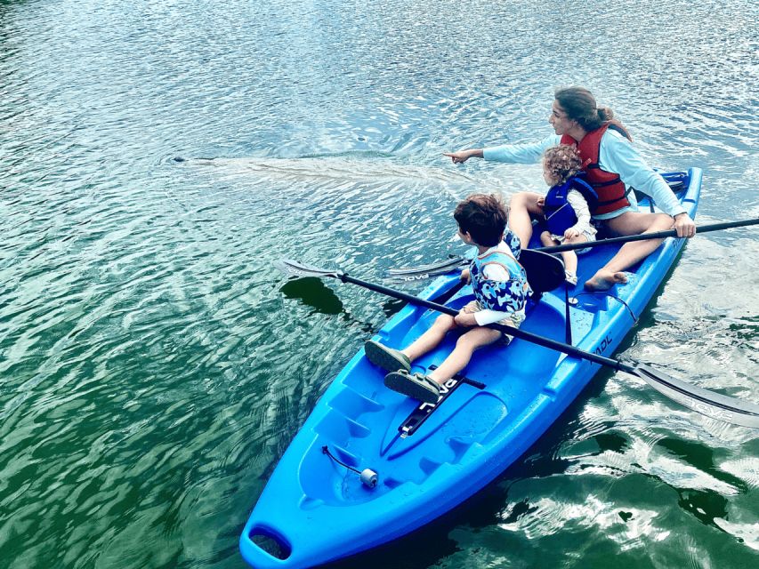 Miami: Manatee Season Paddleboard or Kayak Tour - Lamar Lake + Biscayne Bay: the wildlife-rich part of the loop