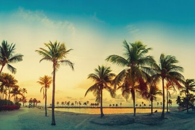 Miami: Open-top Bus Sightseeing Night Tour with Live Guide - The 90-minute night format that gives you quick Miami context