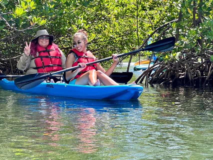 Miami: Paddle Board or Kayak Rental in Virginia Key - Key things I’d circle before you book