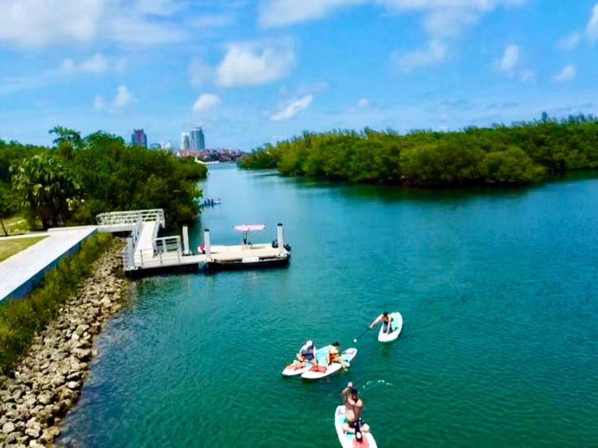 Miami: Paddle Board or Kayak Rental in Virginia Key - Virginia Key waters: why this 1-hour paddle feels like a real escape