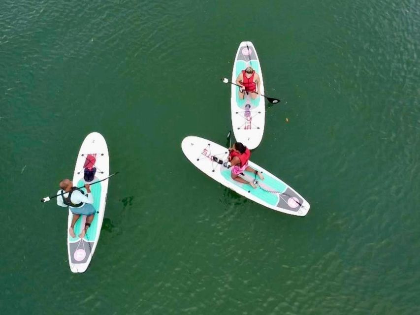 Miami: Paddle Board or Kayak Rental in Virginia Key - Virginia Key Beach Park: follow the signs and settle into the water rhythm
