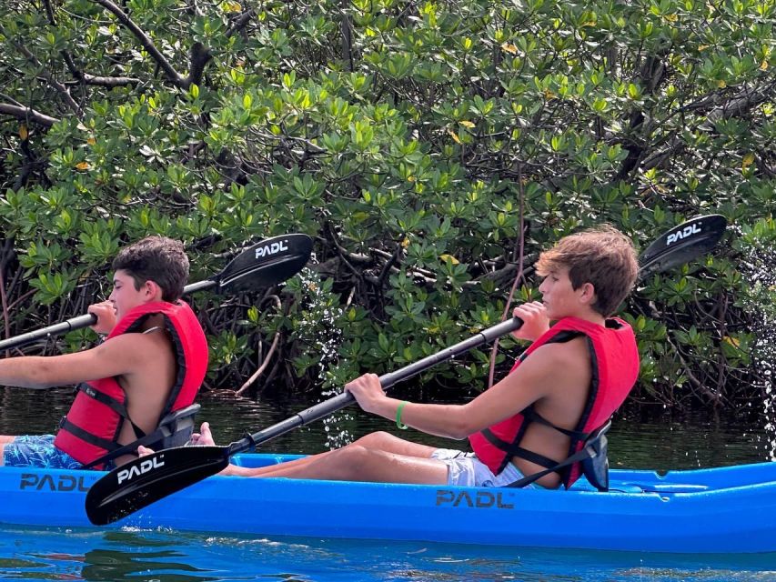 Miami: Paddle Board or Kayak Rental in Virginia Key - Biscayne Bay + Miami skyline: the urban payoff you can actually enjoy