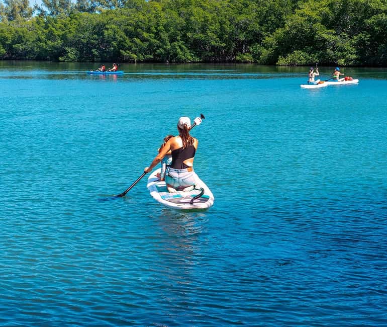 Miami: Paddle Board or Kayak Rental - PADL Beach Club - Lamar Lake and Biscayne Bay: the scenery shift that makes it worth 2 hours