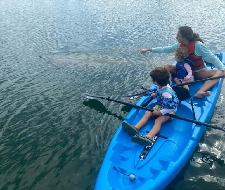 Miami: Paddle Board or Kayak Rental - PADL Beach Club - Should you book PADL Beach Club paddleboard or kayak rental?