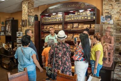 Miami: Private 4hrs City Tour with Expert Guide - Art Deco sights: from bold façades to movie references