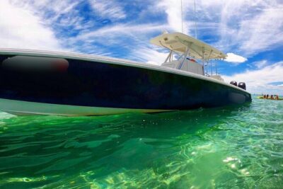 Miami Private Boat Rental to Sandbars and More - Wildlife and marine life: what you might see from Biscayne Bay