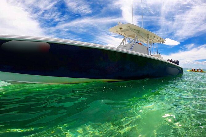 Miami Private Boat Rental to Sandbars and More - Wildlife and marine life: what you might see from Biscayne Bay