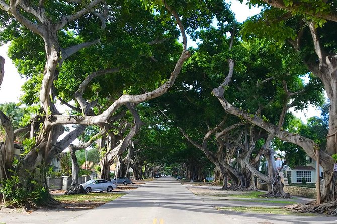 Miami Private City Tour Off The Beaten Path - Southernmost Point to Freedom Tower: Miami Beach Meets Cuban Heritage