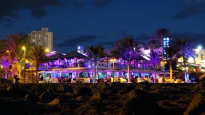 Miami: Private Customized Walking Tour with a Local Host - How Customization Works With Your Time, Interests, and Walking Route