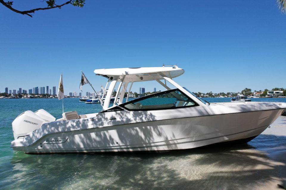 Miami: Private Star island, Miami Skyline & Miami River Tour - Meeting at the private marina and settling on a brand-new boat