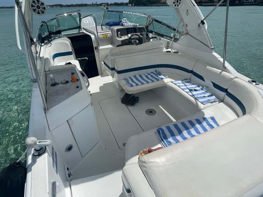 Miami: Sandbar, Billionare's & Raccoon Island Private Tour - Raccoon Island: fun wildlife time, with a real weekend crowd factor