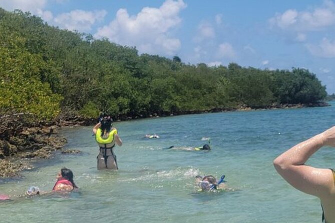 Miami: Snorkeling Adventure in Miami for Beginners Private Yacht - Price and value at $299 for 2 hours on the water