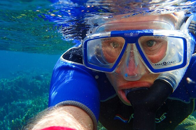 Miami Snorkeling Adventure off a Secluded Island - What you might actually see: clear water is not guaranteed